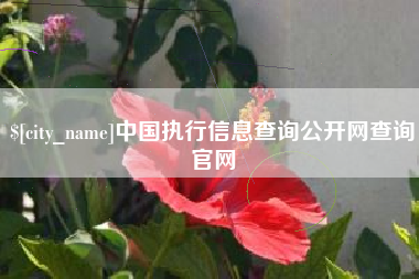 临朐中国执行信息查询公开网查询官网