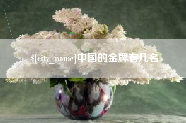 临朐中国的金牌有几名