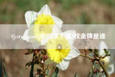 临朐中国拿下第9枚金牌是谁