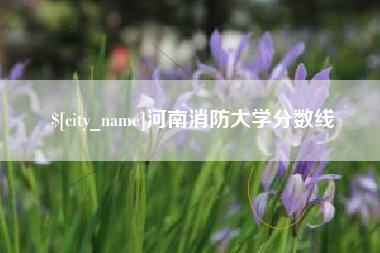 临朐河南消防大学分数线