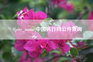 临朐中国执行网公开查询