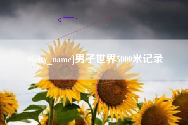 临朐男子世界5000米记录