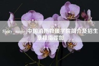 临朐中国消防救援学院简介及招生章程指挥部