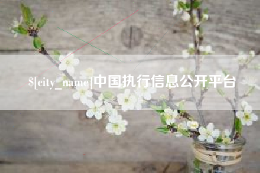 临朐中国执行信息公开平台