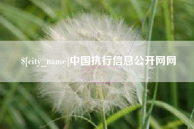 临朐中国执行信息公开网网