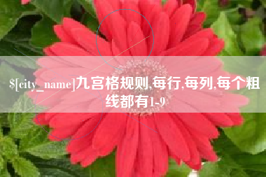 临朐九宫格规则,每行,每列,每个粗线都有1-9