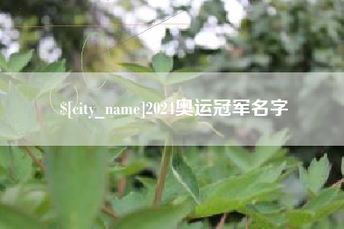 临朐2024奥运冠军名字