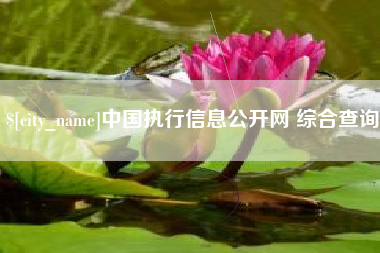 临朐中国执行信息公开网 综合查询