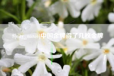临朐中国金牌得了几枚金牌