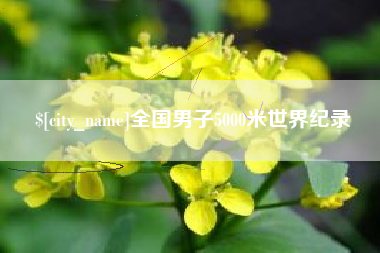 临朐全国男子5000米世界纪录