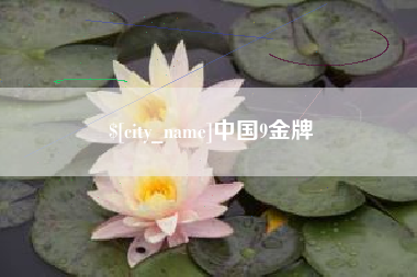 临朐中国9金牌