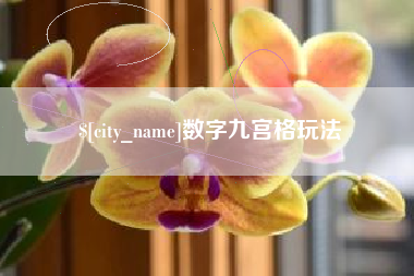 临朐数字九宫格玩法