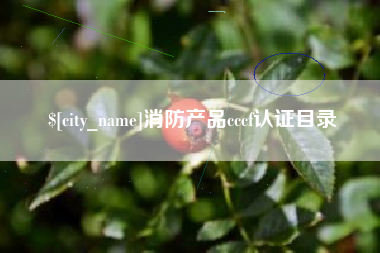 临朐消防产品cccf认证目录