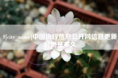 临朐中国执行信息公开网信息更新时间是多久