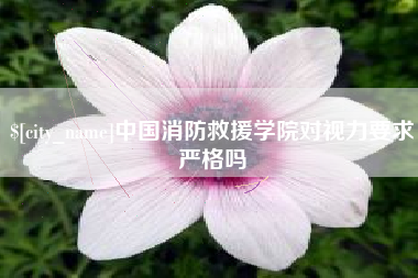 临朐中国消防救援学院对视力要求严格吗