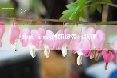 临朐消防设备ccc认证