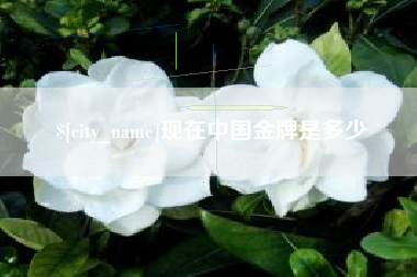 临朐现在中国金牌是多少