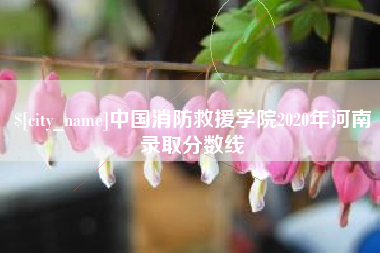 临朐中国消防救援学院2020年河南录取分数线