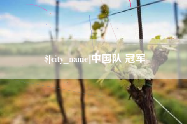 临朐中国队 冠军