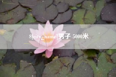 临朐男子 5000米
