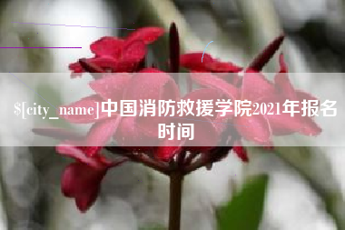 临朐中国消防救援学院2021年报名时间