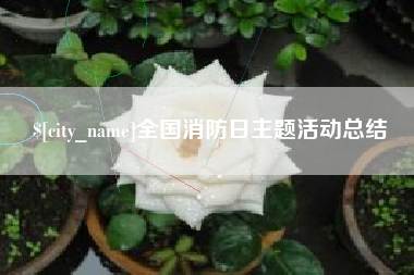 临朐全国消防日主题活动总结