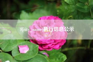 临朐执行信息公示
