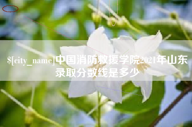 临朐中国消防救援学院2021年山东录取分数线是多少