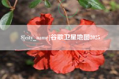临朐谷歌卫星地图2025