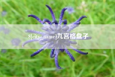 临朐九宫格盘子