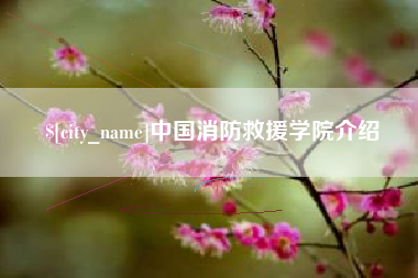 临朐中国消防救援学院介绍