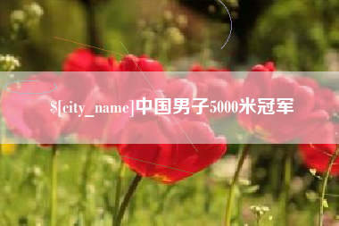 临朐中国男子5000米冠军
