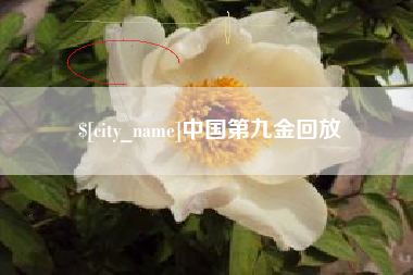 临朐中国第九金回放