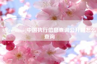 临朐中国执行信息查询公开网怎么查询