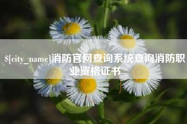 临朐消防官网查询系统查询消防职业资格证书