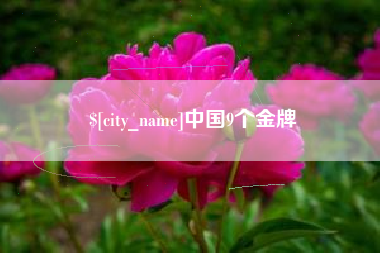 临朐中国9个金牌