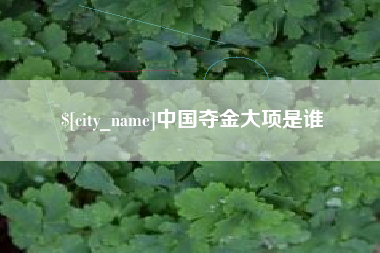 临朐中国夺金大项是谁