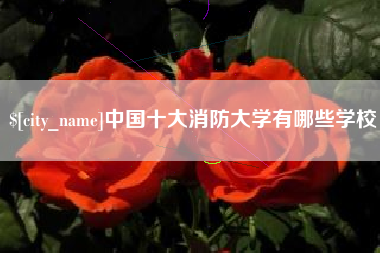 临朐中国十大消防大学有哪些学校