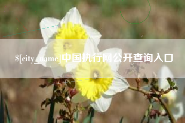 临朐中国执行网公开查询入口