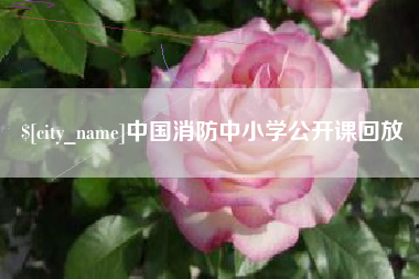 临朐中国消防中小学公开课回放