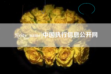 临朐中国执行信息公开网