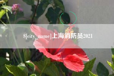 临朐上海消防员2021