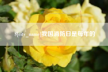 临朐我国消防日是每年的