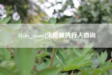 临朐失信被执行人杳询