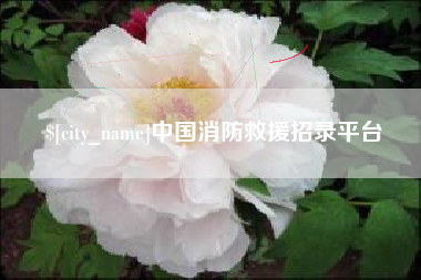 临朐中国消防救援招录平台