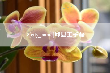 临朐邱县王子磊