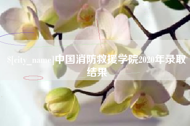 临朐中国消防救援学院2020年录取结果