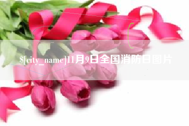 临朐11月9日全国消防日图片