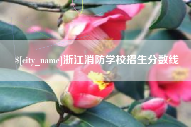 临朐浙江消防学校招生分数线