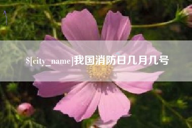 临朐我国消防日几月几号